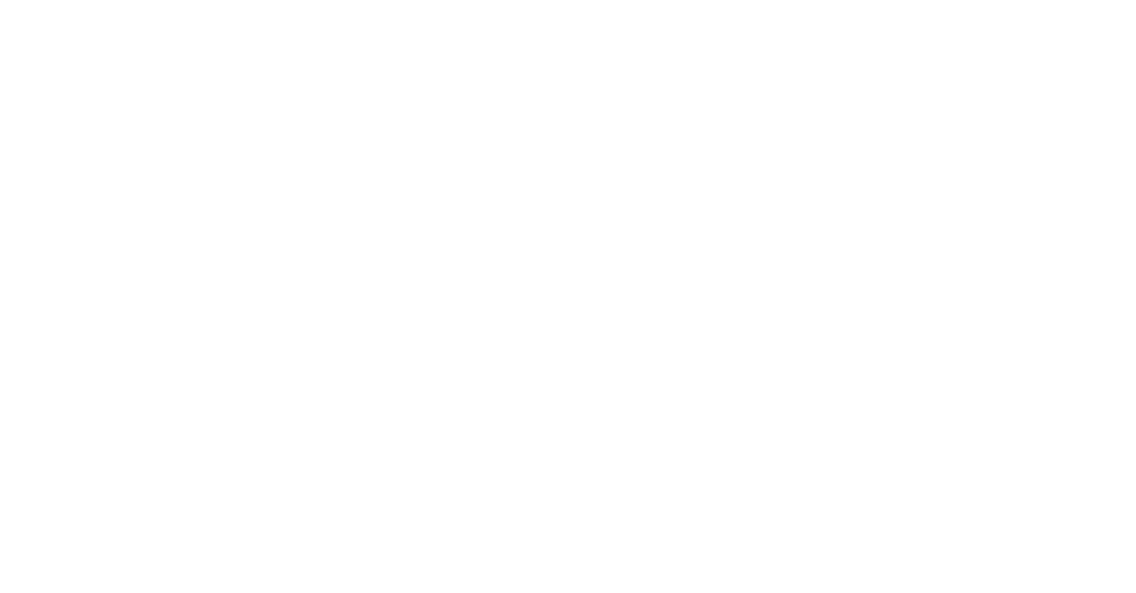 SVV Translogistic